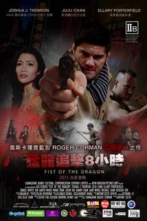 Profilový obrázek - Fist of the Dragon