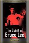 Spirits of Bruce Lee 