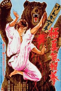 Profilový obrázek - Kyokuskin kenka karate burai ken