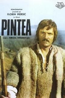 Profilový obrázek - Pintea