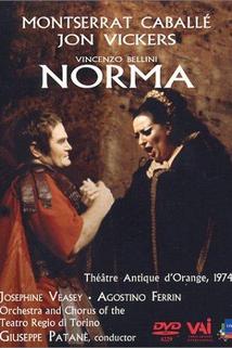 Norma