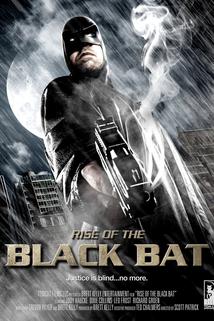 Profilový obrázek - Rise of the Black Bat