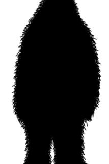 Profilový obrázek - Hair of the Sasquatch