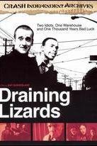 Profilový obrázek - Draining Lizards