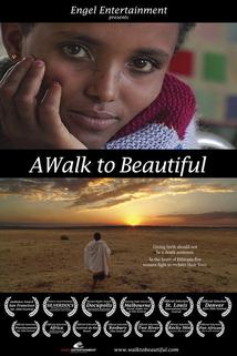Profilový obrázek - A Walk to Beautiful