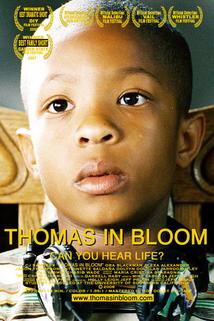Profilový obrázek - Thomas in Bloom