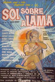 Profilový obrázek - Sol Sobre a Lama