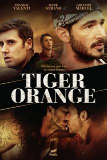 Profilový obrázek - Tiger Orange