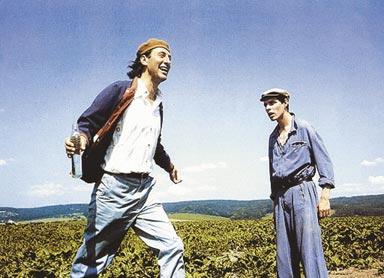 Dědictví aneb Kurvahošigutntag