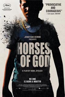 Profilový obrázek - Boží koně