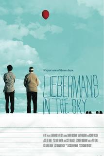 Profilový obrázek - Liebermans in the Sky