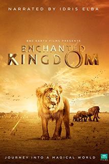 Profilový obrázek - Enchanted Kingdom 3D