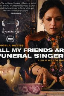 Profilový obrázek - All My Friends Are Funeral Singers