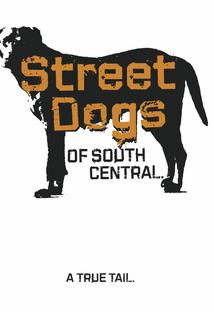 Profilový obrázek - Street Dogs of South Central