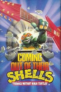 Profilový obrázek - Teenage Mutant Ninja Turtles: Coming Out of Their Shells Tour