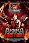 Arena of the Street Fighter 