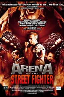 Profilový obrázek - Arena of the Street Fighter
