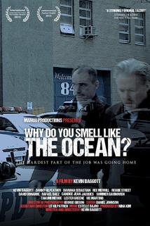 Profilový obrázek - Why Do You Smell Like the Ocean?