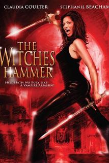 Profilový obrázek - The Witches Hammer