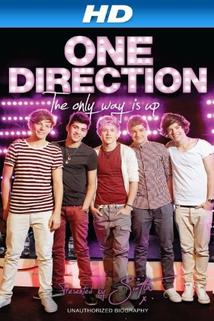 Profilový obrázek - One Direction: The Only Way is Up