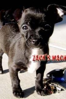 Profilový obrázek - Zack's Machine