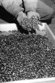 Profilový obrázek - Blood Money: Switzerland's Nazi Gold