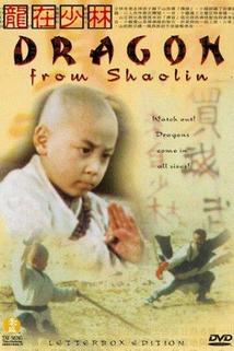 Long zai Shaolin