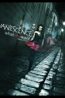 Profilový obrázek - Evanescence's 'What You Want'