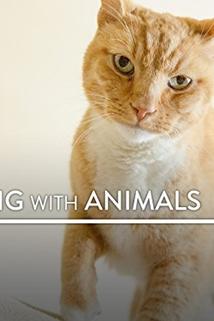 Profilový obrázek - Healing with Animals