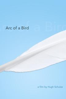 Profilový obrázek - Arc of a Bird