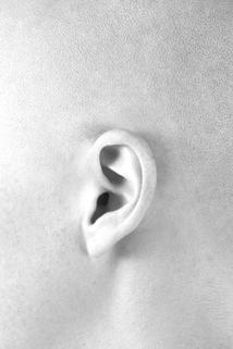 Profilový obrázek - Hearing Voices