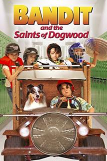Profilový obrázek - Bandit and the Saints of Dogwood