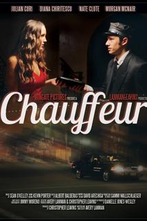 Profilový obrázek - Chauffeur