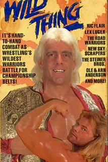 Profilový obrázek - WCW/NWA Wrestle War