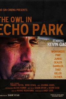 The Owl in Echo Park