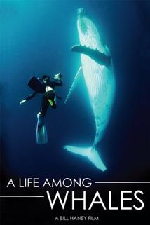Profilový obrázek - Life Among Whales, A