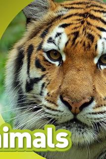 Profilový obrázek - National Geographic: Amazing Animals