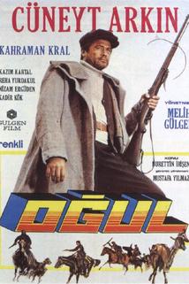 Profilový obrázek - Ogul