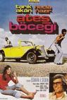 Ates böcegi (1975)