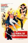 La furia de los karatecas (1982)