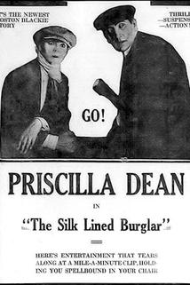 Profilový obrázek - The Silk-Lined Burglar