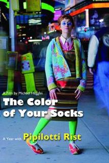 Profilový obrázek - The Colour of Your Socks: A Year with Pipilotti Rist
