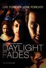 Daylight Fades (2010)