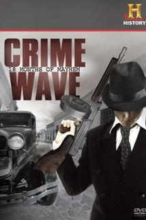 Profilový obrázek - Crime Wave: 18 Months of Mayhem