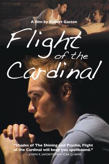 Profilový obrázek - Flight of the Cardinal