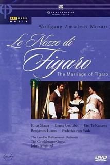 Profilový obrázek - The Marriage of Figaro
