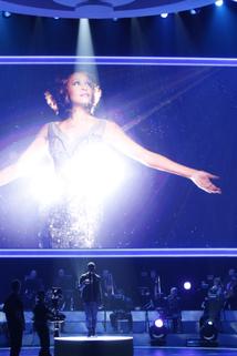 Profilový obrázek - We Will Always Love You: A Grammy Salute to Whitney Houston