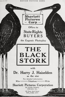 Profilový obrázek - The Black Stork