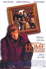Domů na svátky (1995)