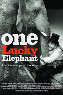 Profilový obrázek - One Lucky Elephant